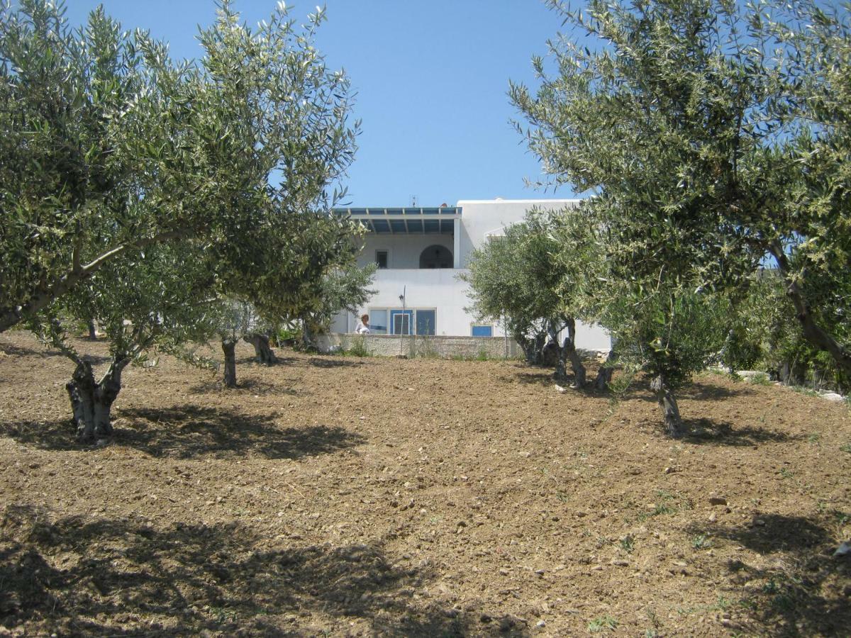 Kafkis House, Paros Villa Dhragoulas Bagian luar foto